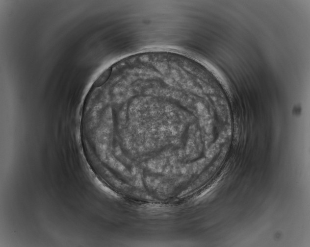 X0000099981102200806201420