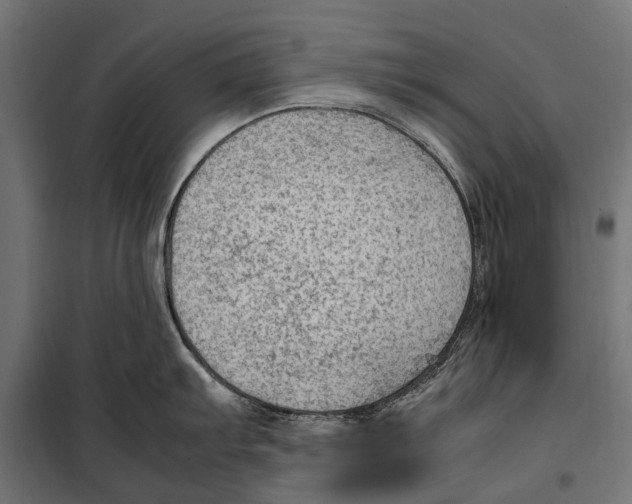 X0000099981103200806201420