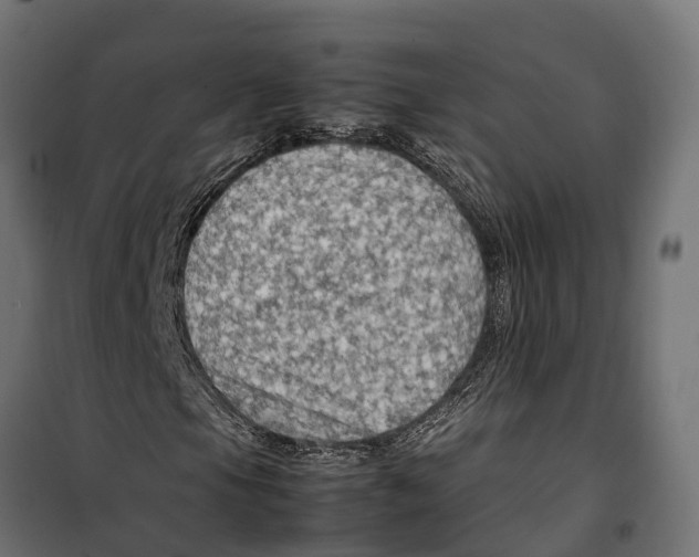 X0000099981105200806201419