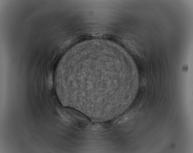 X0000099981106200806201419