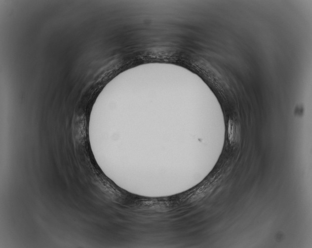 X0000099981107200806201419