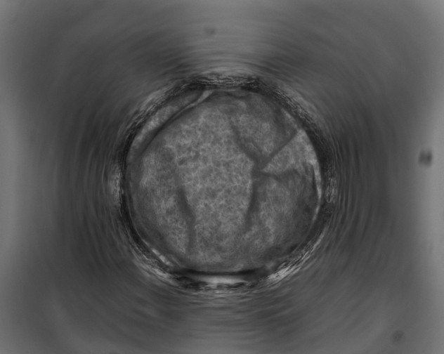 X0000099981108200806201419