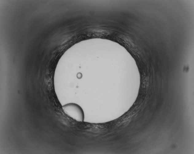 X0000099981109200806201419