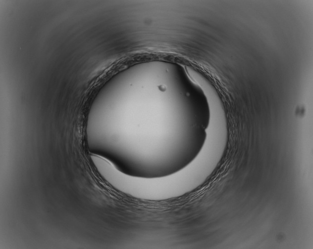 X0000099981110200806201419