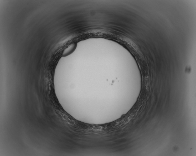 X0000099981111200806201419