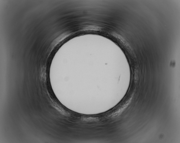 X0000099981113200806201419