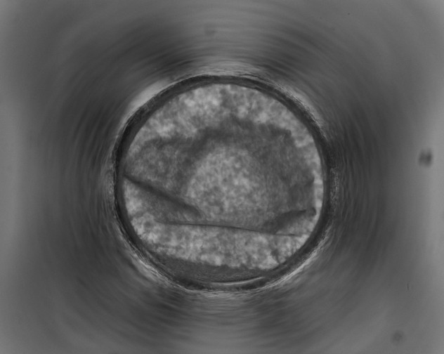 X0000099981114200806201419