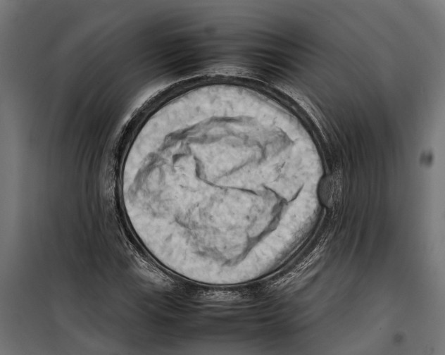 X0000099981115200806201419