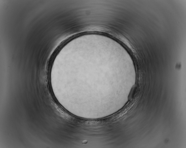 X0000099981116200806201419