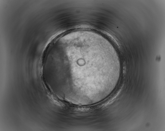 X0000099981117200806201419