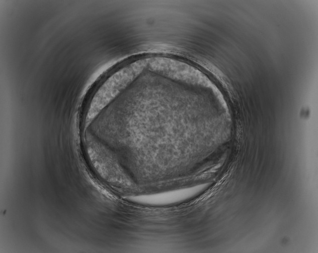 X0000099981120200806201419