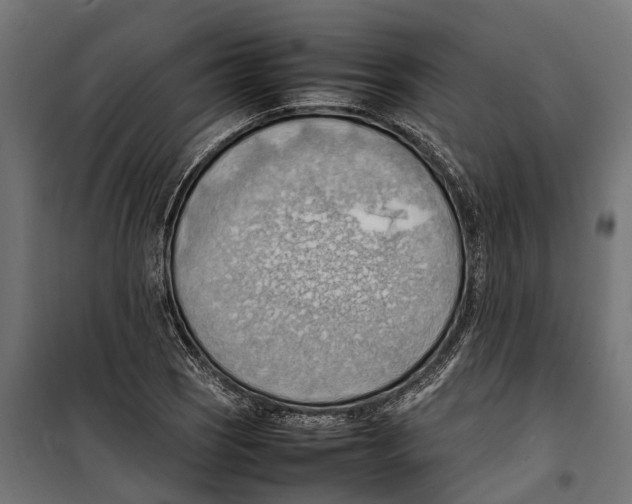 X0000099981121200806201419