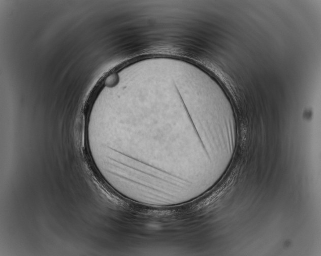 X0000099981123200806201419