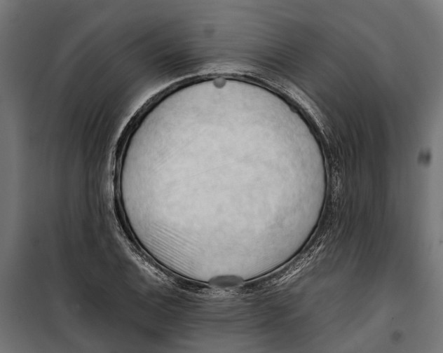 X0000099981124200806201419