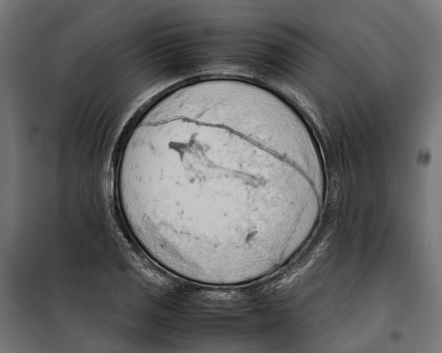 X0000099981125200806201419