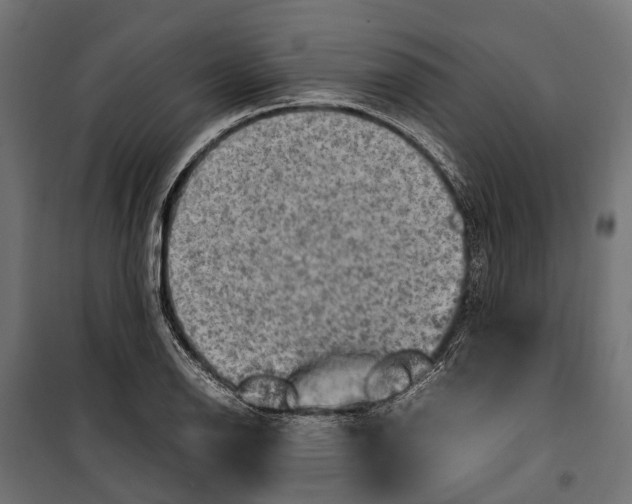 X0000099981126200806201419