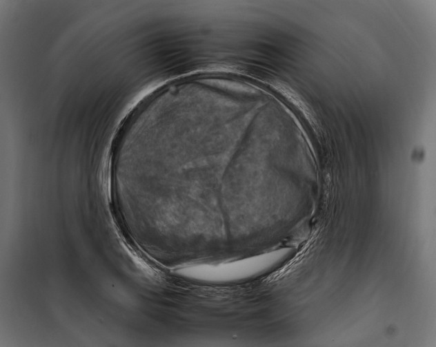 X0000099981127200806201419