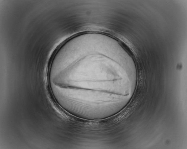 X0000099981128200806201419