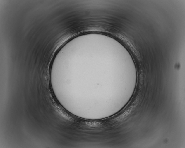 X0000099981129200806201419