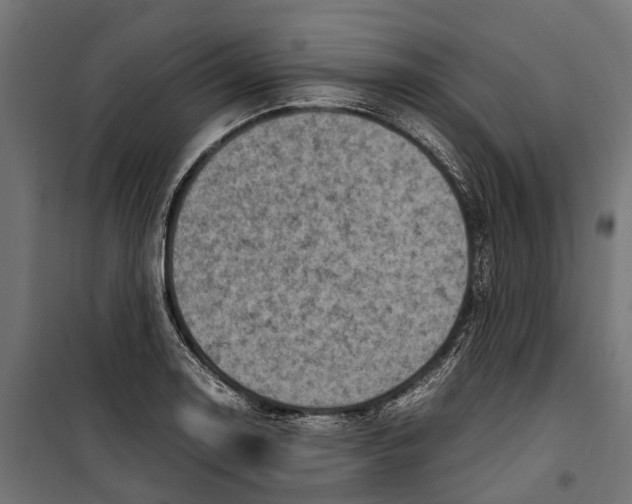 X0000099981130200806201419