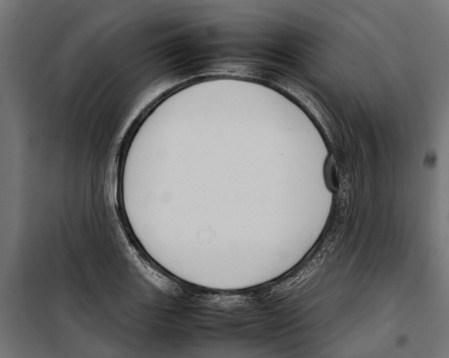 X0000099981131200806201419