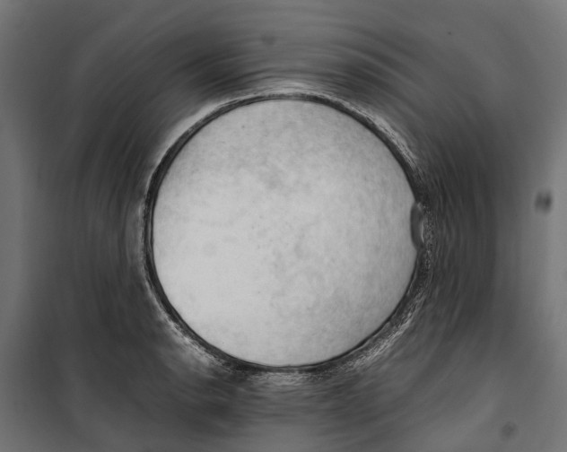 X0000099981134200806201419