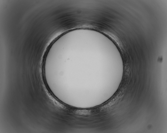 X0000099981135200806201419