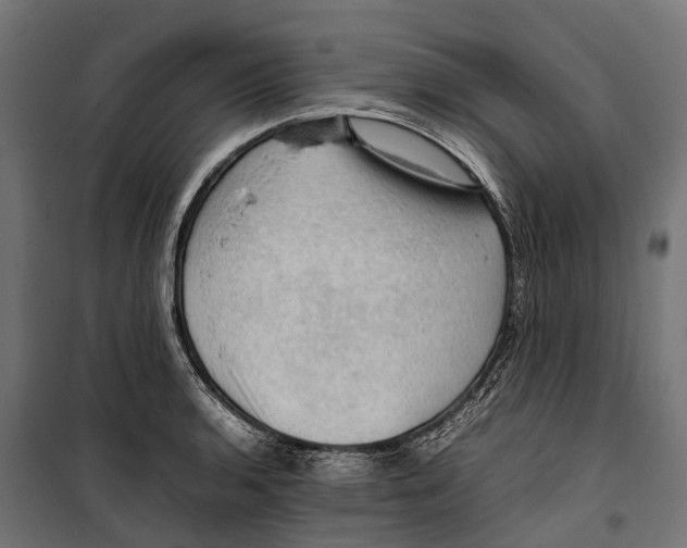 X0000099981136200806201419