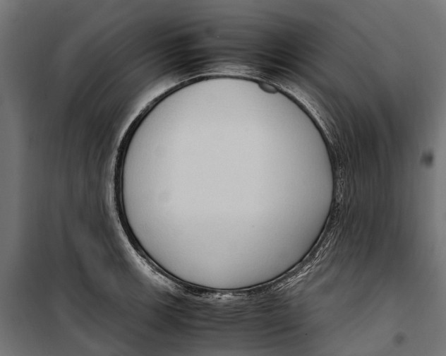 X0000099981139200806201419