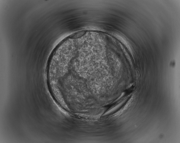 X0000099981141200806201420