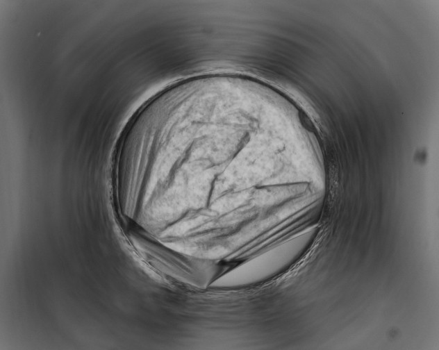 X0000099981142200806201420