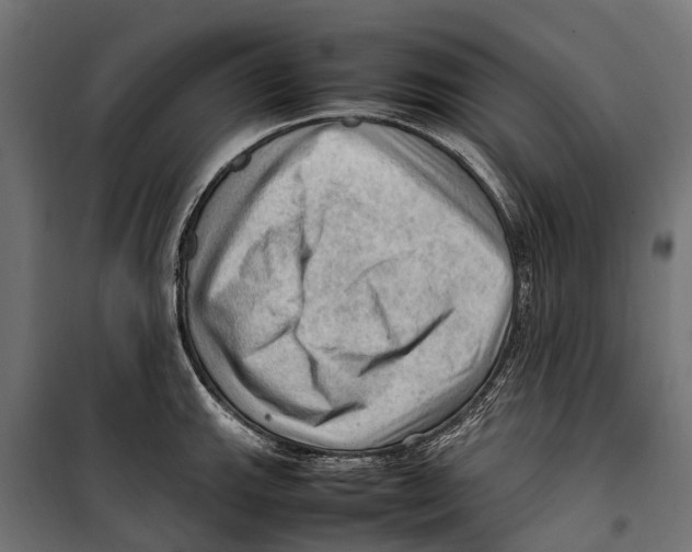 X0000099981143200806201420