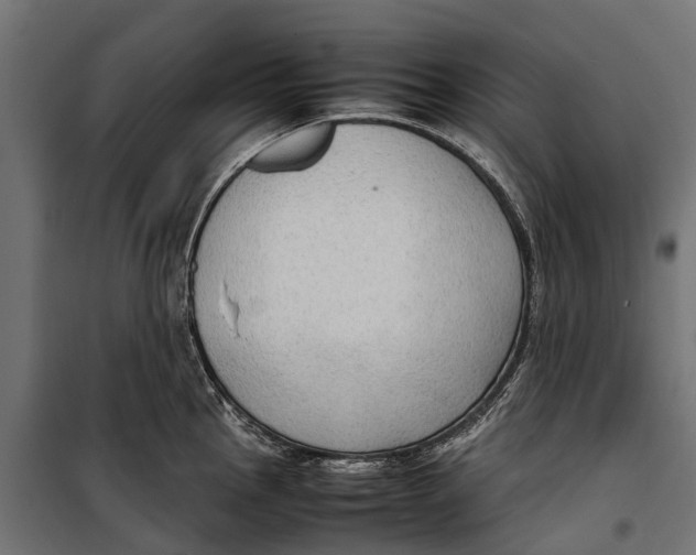 X0000099981145200806201420