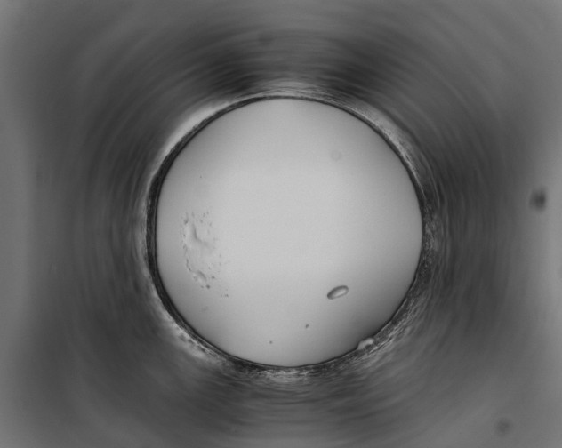 X0000099981147200806201420