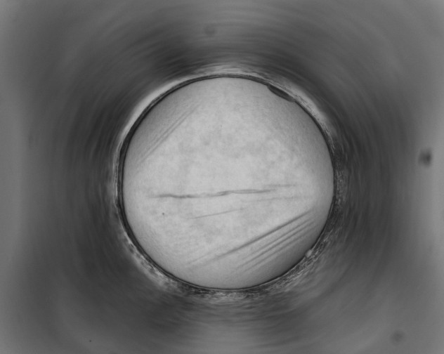 X0000099981148200806201420