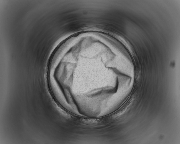 X0000099981149200806201420