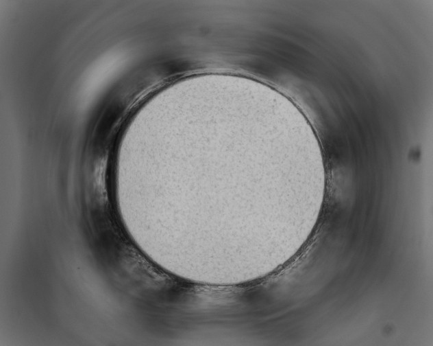 X0000099981150200806201420