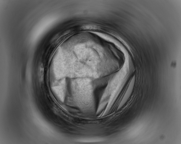 X0000099981151200806201420