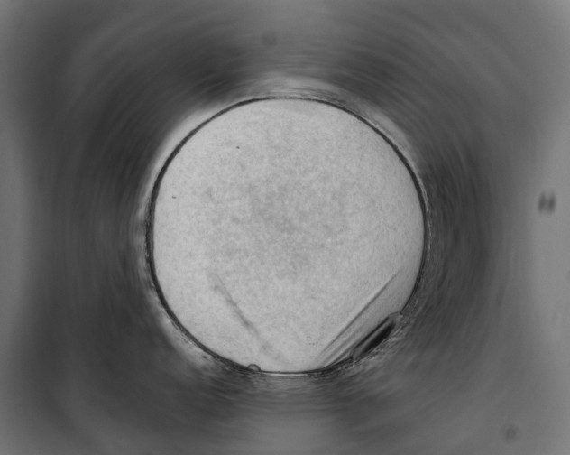 X0000099981152200806201420