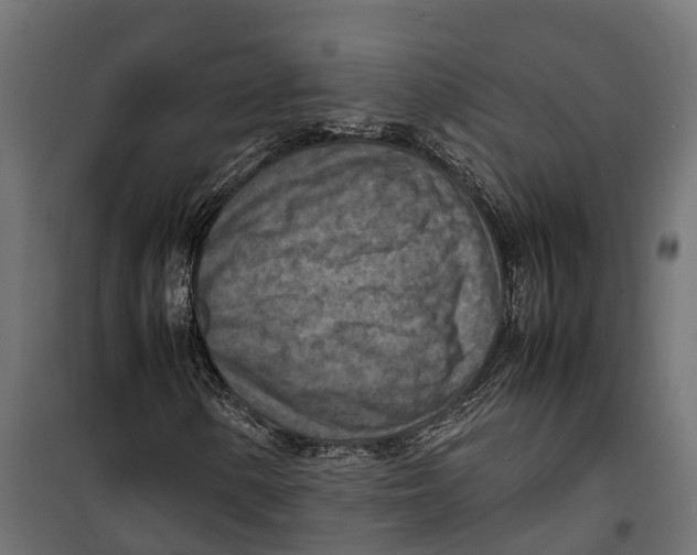 X0000099981154200806201419