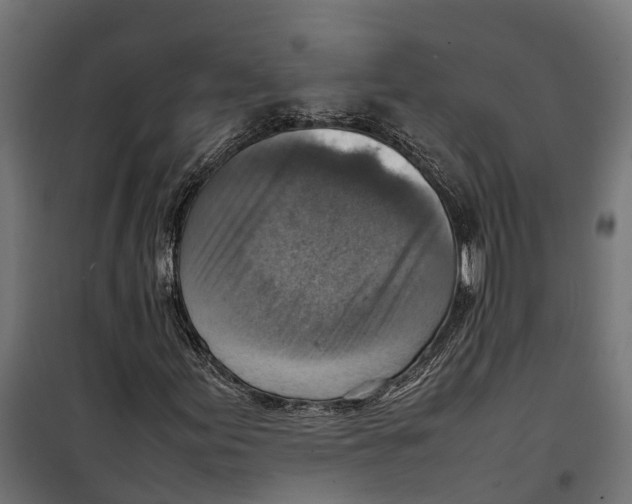 X0000099981155200806201419