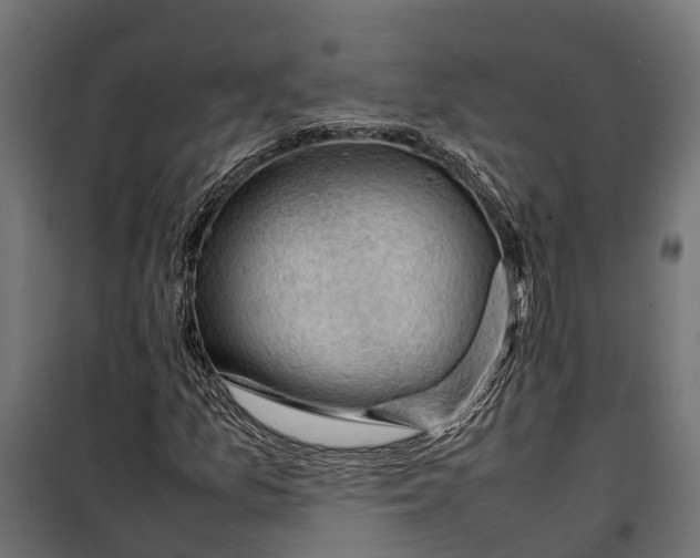 X0000099981157200806201419