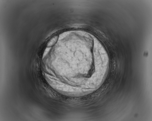 X0000099981158200806201419