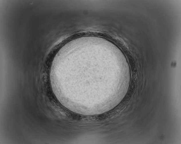 X0000099981159200806201419