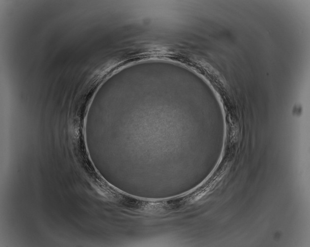 X0000099981161200806201419