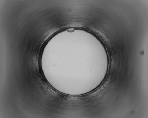 X0000099981162200806201419