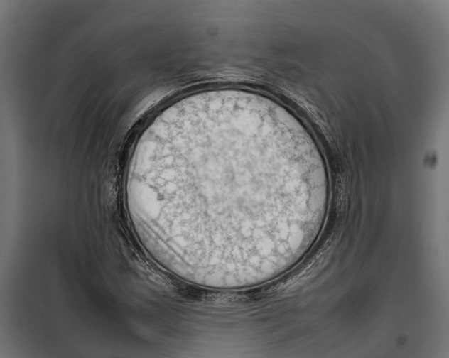 X0000099981163200806201419