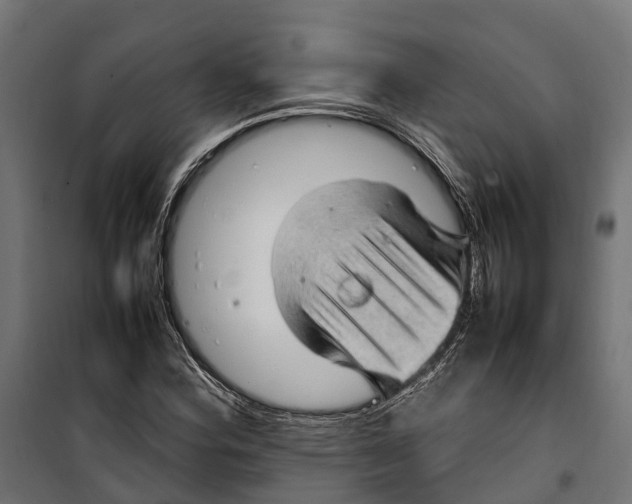 X0000099981164200806201419