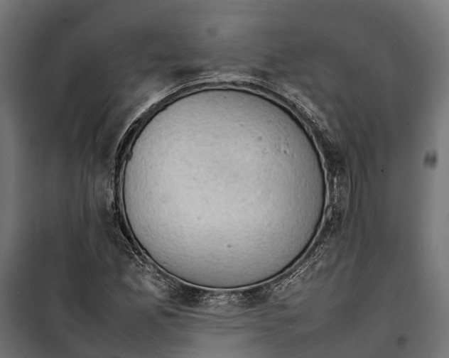 X0000099981165200806201419