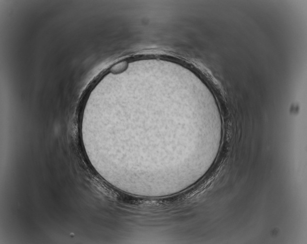 X0000099981167200806201419